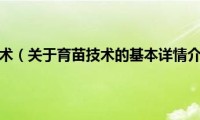 关于育苗技术的基本详情介绍