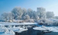 吉林今年冬天雪多还是雪少