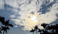 新奥彩今天晚上开奖结果查询表_品牌价值-新手完整的解决方案